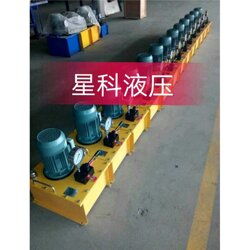 星科液壓機械質優價廉 dbs電動泵 廣元電動泵