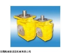 CBGJ0025,高壓齒輪泵_供應(yīng)產(chǎn)品_無(wú)錫凱維聯(lián)液壓機(jī)械