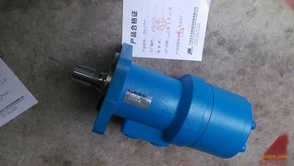 BM-D160液壓馬達(dá)-液壓馬達(dá)-寧波擺線液壓馬達(dá)